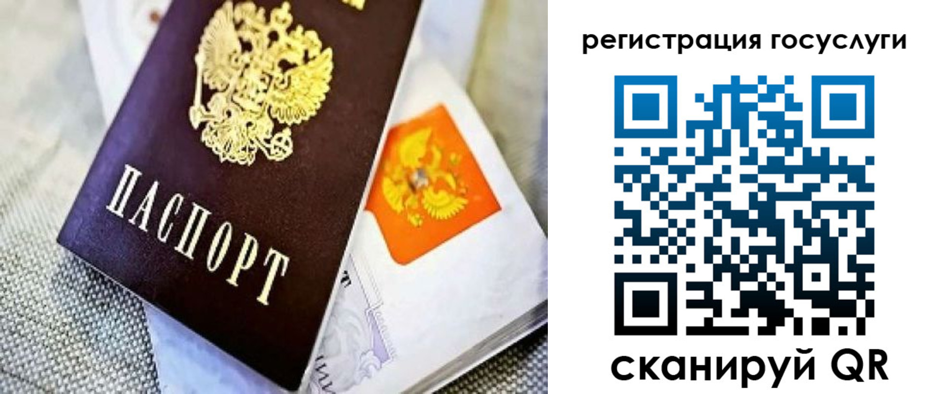 временная регистрация надежно в Мытищах