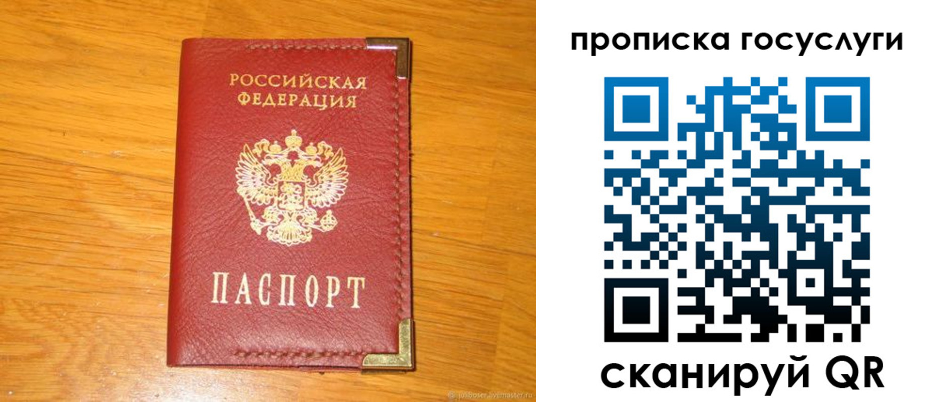 прописка в Мытищах